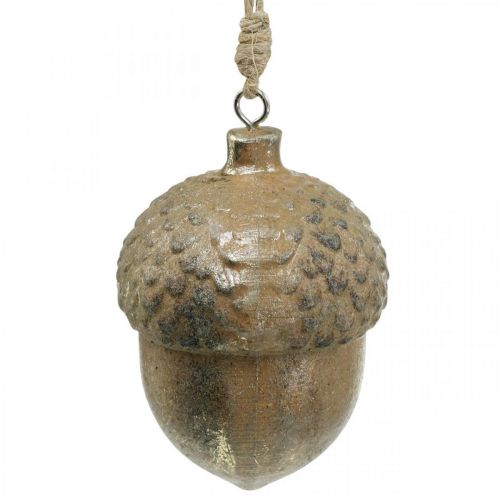 Floristik24 Bellota colgante decorativo, frutas de otoño, adornos para árboles de Navidad con decoración dorada Al8cm Ø6cm 4ud