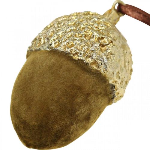 Artículo Bellotas para colgar, Adviento, decoración de árbol, decoración de otoño H6,5cm Ø4cm 6 uds.