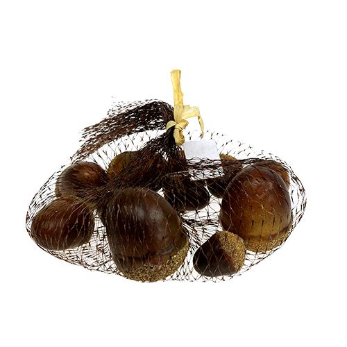 Floristik24 Bellotas mezcladas en una red 12pcs