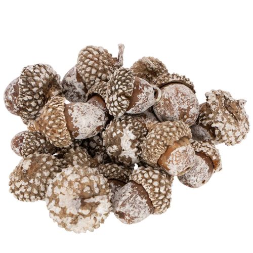 Bellotas, producto natural para decoración, blanqueadas, 1-3 cm, 300 g comprar | Floristik24.es