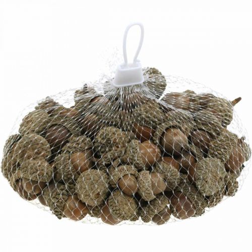 Artículo Bellotas para decorar, adornos otoñales, frutos de otoño por supuesto Ø1,5 - 2,5cm L1,5 - 3cm 300g