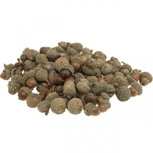 Bellotas para decorar, decoraciones de otoño, frutas de otoño por supuesto Ø1.5 - 2.5cm L1.5 - 3cm 300g