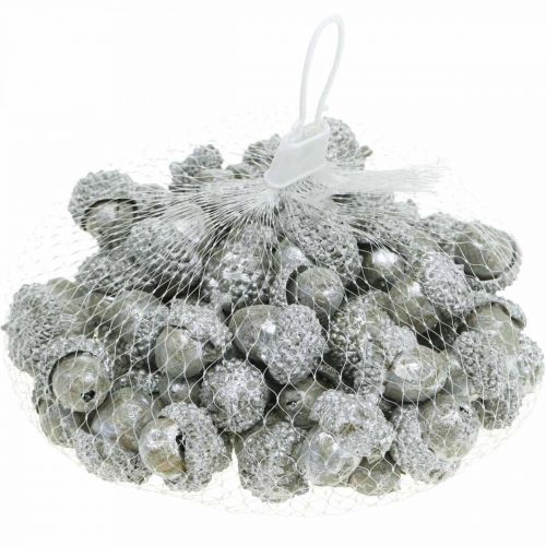 Artículo Bellotas decorativas plateadas, Decoración adviento, frutas naturales de otoño, casa de campo Ø1,5 - 2,5cm L1,5 - 3cm 300g