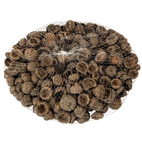 Cáscaras de bellota naturales, cuencos decorativos para otoño y Adviento, 2 cm, 300 g | Floristik24.es