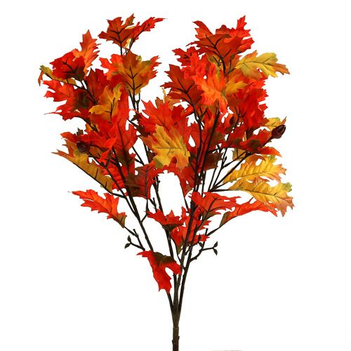 Floristik24 Roble arbusto naranja 56cm