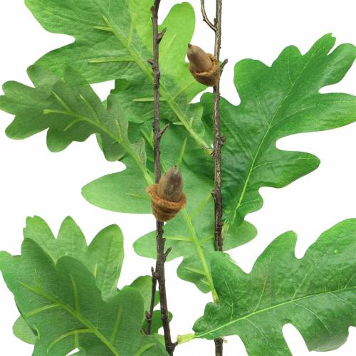 Floristik24 Rama hoja de roble verde 115cm