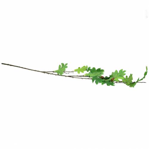 Floristik24 Rama hoja de roble verde 115cm