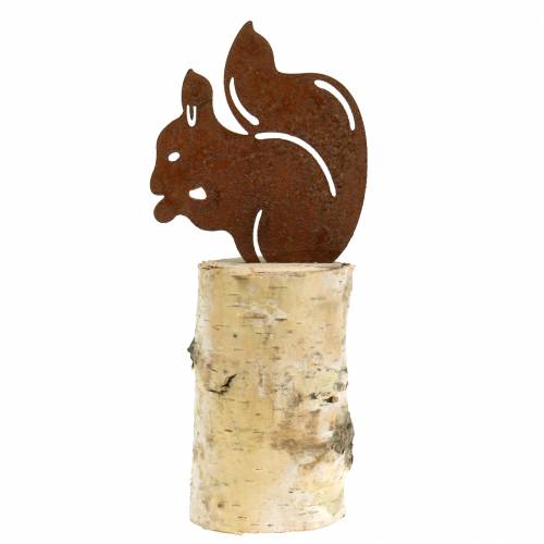 Floristik24 Pátina de ardilla en el tronco H22cm