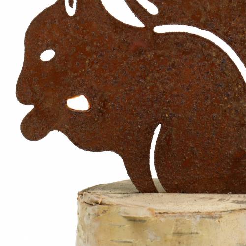 Floristik24 Pátina de ardilla en el tronco H22cm