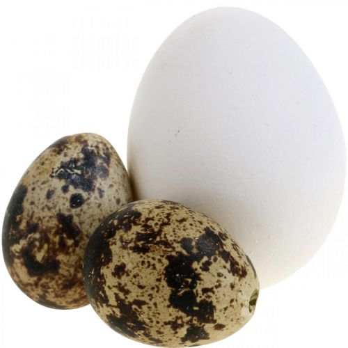 Mezcla de huevos de decoración huevos de codorniz y huevos de gallina Huevos de Pascua soplados
