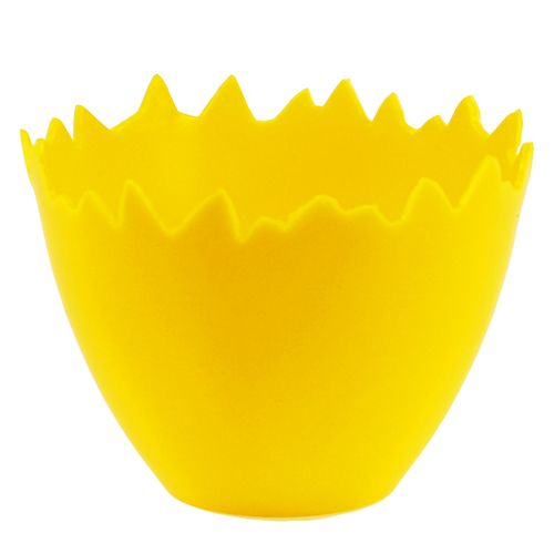 Artículo Hueveras Ø17cm 20 piezas amarillas