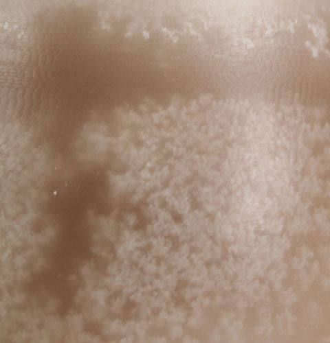 Floristik24 Vela decorativa huevo Sahara 14cm