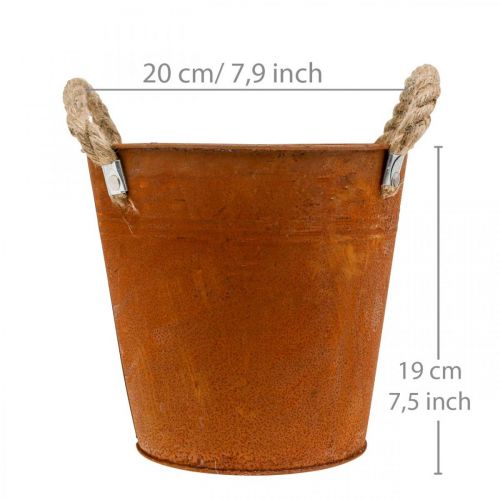 Floristik24 Maceta decorativa con asas, decoración otoñal, cuenco de metal patinado Ø20cm H19cm