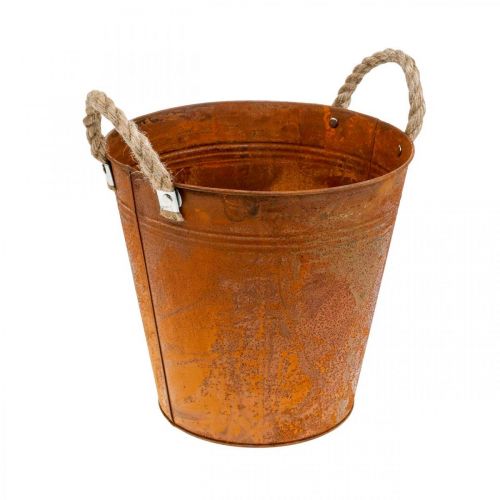 Floristik24 Macetero con asas, cuenco para plantas, recipiente de metal con decoración de óxido Ø25cm H24cm