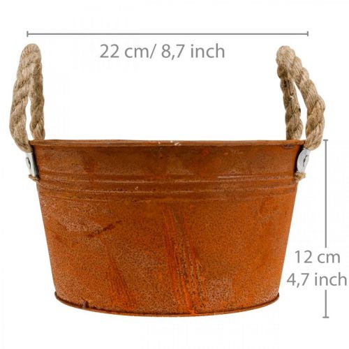 Floristik24 Maceta de metal con asas de cuerda, cuenco para plantas, otoño, pátina Ø22cm H12cm