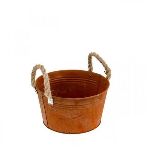 Floristik24 Maceta de metal con asas de cuerda, cuenco para plantas, otoño, pátina Ø22cm H12cm