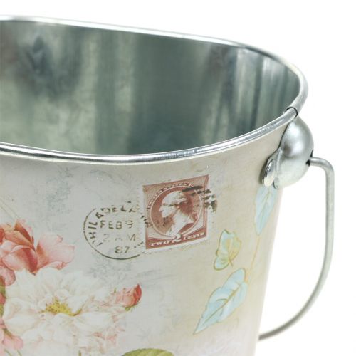 Floristik24 Planta cubo rosa ovalada H11cm