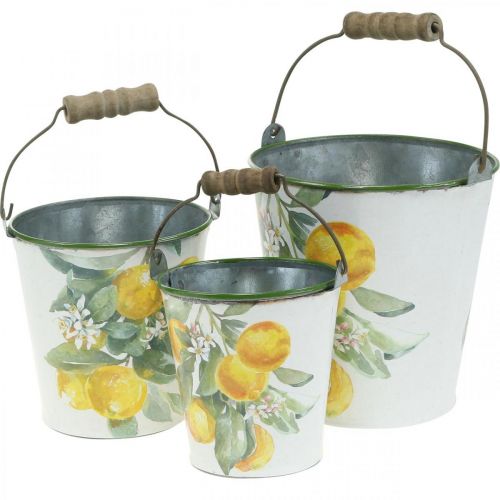 Artículo Cubo decorativo limones Jardinera mediterránea Ø13,5/11/9cm H14/11,5/cm juego de 3