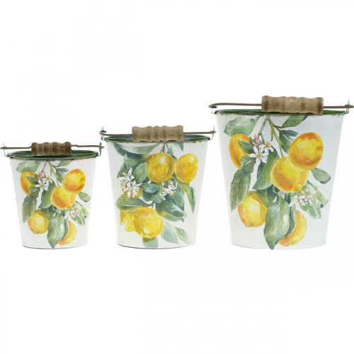 Floristik24 Cubo decorativo limones Jardinera mediterránea Ø13,5/11/9cm H14/11,5/cm juego de 3