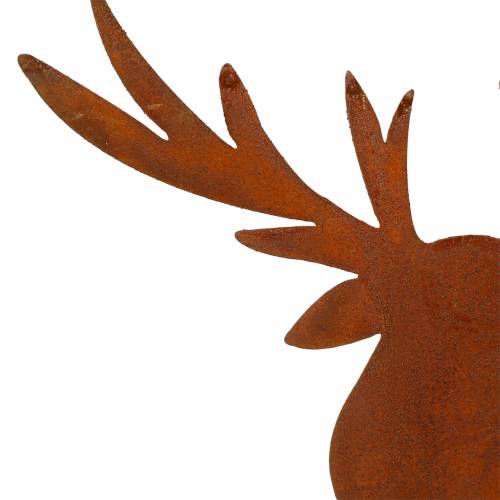 Floristik24 Pátina de alce para pegar Al 58cm