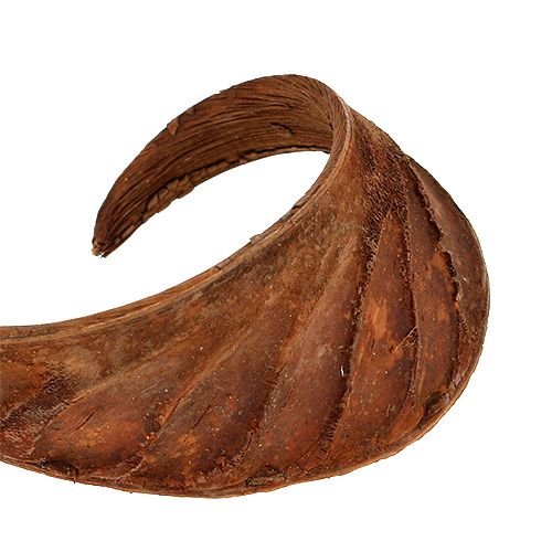 Artículo Oreja Elefante Natural 25uds