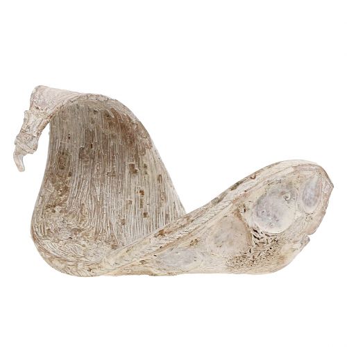 Artículo Oreja de Elefante Blanqueada lavada 25uds