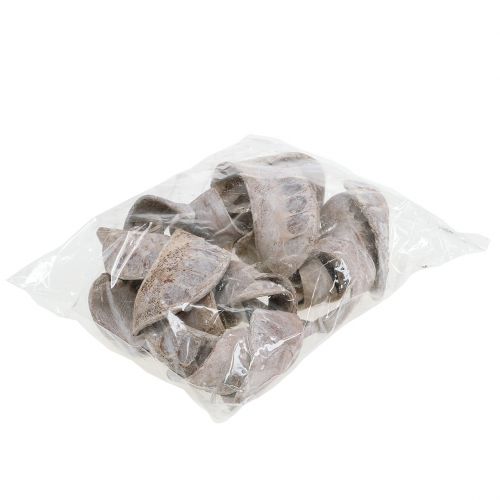 Artículo Oreja de Elefante Blanqueada lavada 25uds