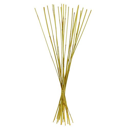 Floristik24 Palos decorativos, Elephant Reed Amarillo 20 piezas