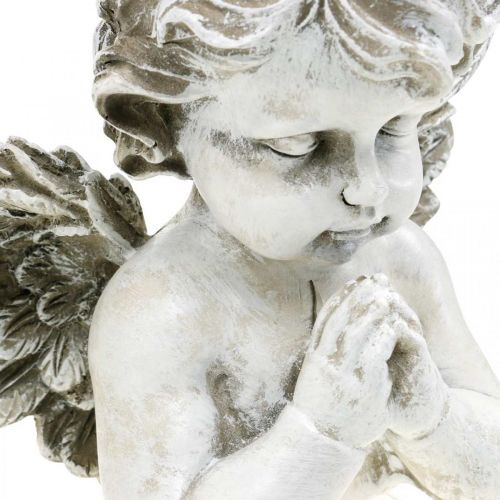 Floristik24 Ángel rezando, floristería funeraria, busto de figura de ángel, decoración de tumba Al 19 cm An 19,5 cm
