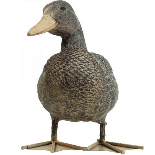 Floristik24 Pato figura de jardín figura decorativa Pato figura de pie H18cm