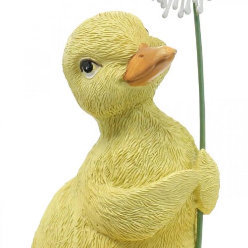 Floristik24 Decoración primavera, patitos con diente de león, figura decorativa H13.5cm