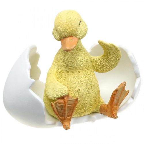 Floristik24 Pollito recién nacido, figura de pato, patito en huevo AL10cm AN12,5cm
