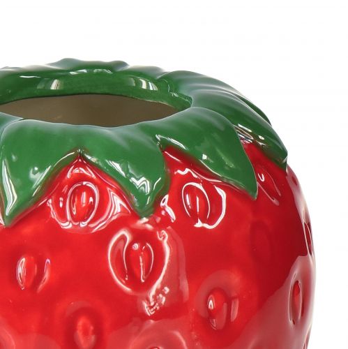 Floristik24 Florero decorativo fresa macetero de cerámica Ø8,5cm H8,5cm