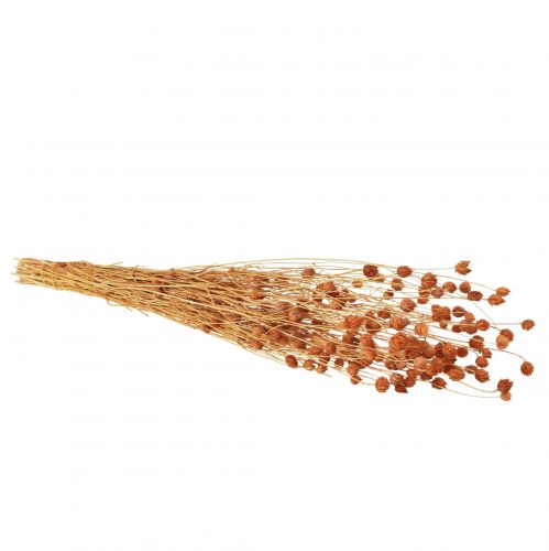 Artículo Cardo fresa flores secas cardo decoración terracota 68cm 100g