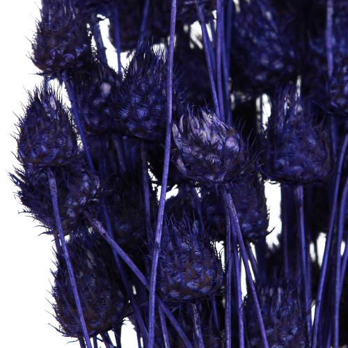 Artículo Cardos De Fresa Cardo Seco Decoración De Cardo Violeta 44-58cm 100g