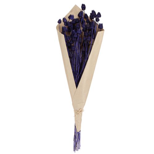 Artículo Cardos De Fresa Cardo Seco Decoración De Cardo Violeta 44-58cm 100g