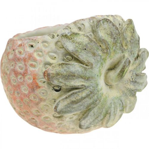 Artículo Fresa decorativa, macetero, decoración de hormigón para plantar L17cm