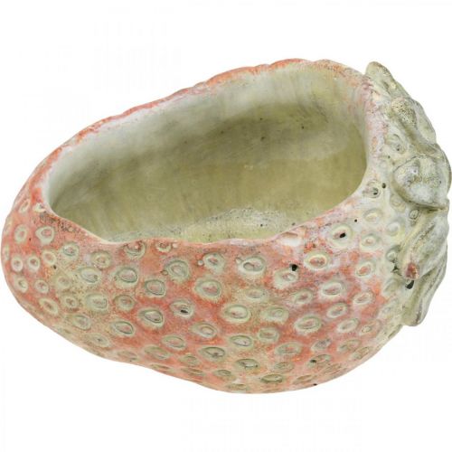 Artículo Fresa decorativa, macetero, decoración de hormigón para plantar L17cm