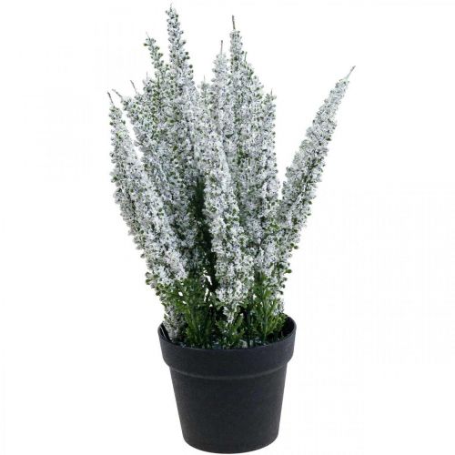 Floristik24 Erika escoba de brezo blanco planta artificial de brezo H26cm