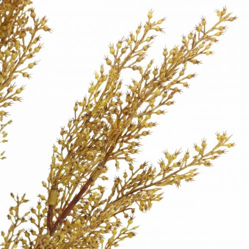Artículo Rama de brezo decorativa amarilla, marrón H50cm