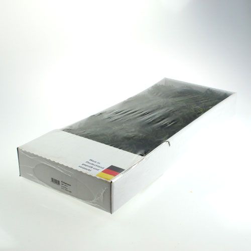 Floristik24 Erikamoos verde 750gr