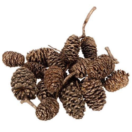 Piñas de aliso, producto natural para decoración y manualidades, color dorado, 3 cm, 300 g comprar | Floristik24.es