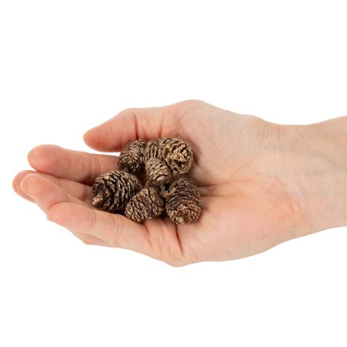 Piñas de aliso, producto natural para decoración y manualidades, color dorado, 3 cm, 300 g | Floristik24.es