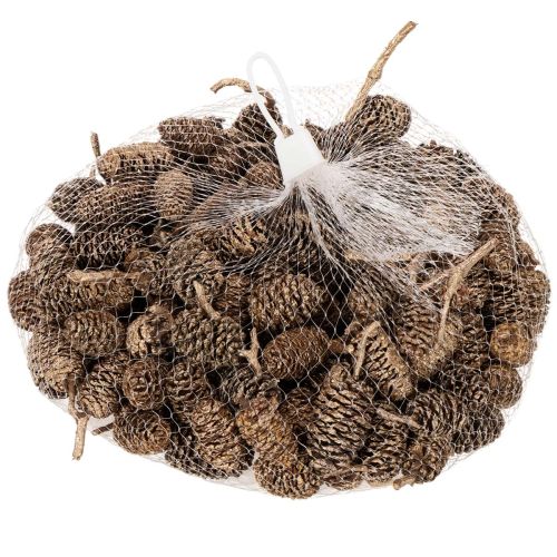 Piñas de aliso, producto