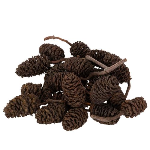 Piñas de aliso naturales, sueltas, para decoración, 3 cm, 300 g, color marrón natural.