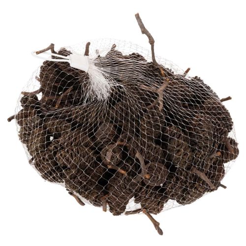 Piñas de aliso naturales,