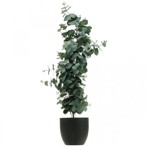 Floristik24 Eucalipto en maceta planta artificial Decoración de plantas artificiales H87cm