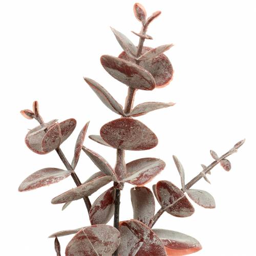 Floristik24 Eucalipto artificial Borgoña 32cm ¡Planta artificial como de verdad!