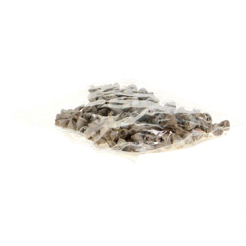 Floristik24 Eucaliptos encerados marrón grisáceo 250g