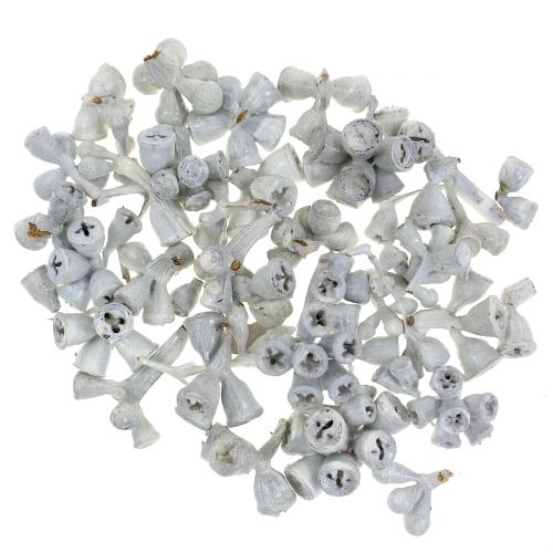 Floristik24 Eucalipto blanco encerado 250g